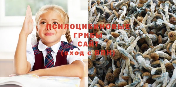 первитин Армянск