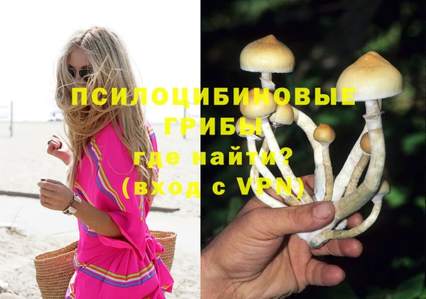 шишки Алексин