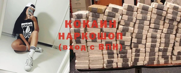 шишки Алексин