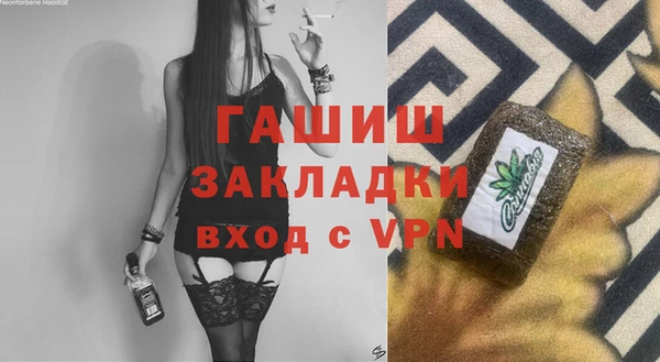 шишки Арсеньев