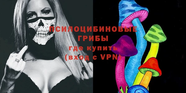 ECSTASY Алексеевка